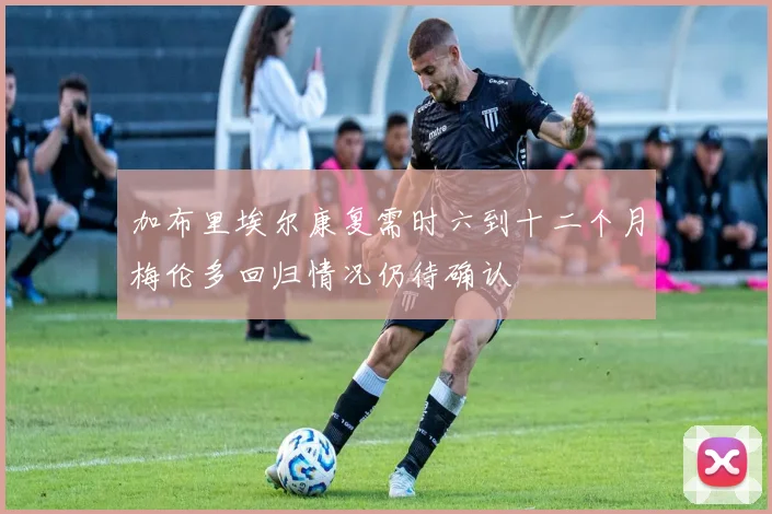 加布里埃尔康复需时六到十二个月梅伦多回归情况仍待确认